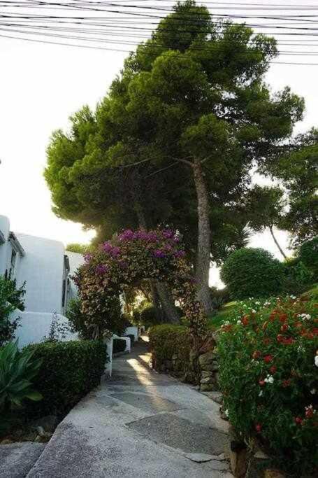 Playa Y Naturaleza Estepona Dış mekan fotoğraf